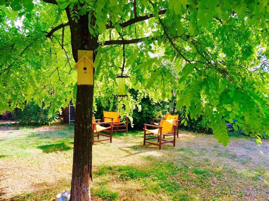 Bed and Breakfast La Frapperie La Pommeraie-sur-Sèvre Esterno foto