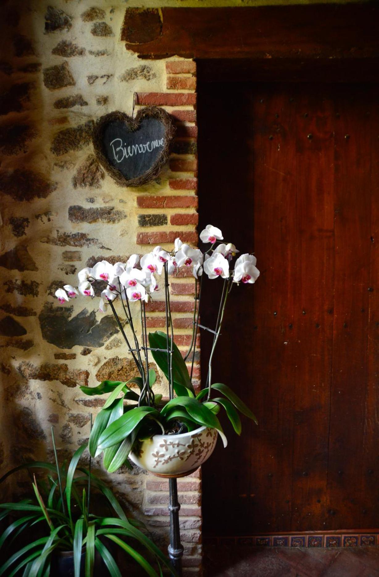 Bed and Breakfast La Frapperie La Pommeraie-sur-Sèvre Esterno foto